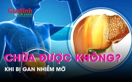 Gan nhiễm mỡ có chữa được hay không?