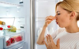 Các món ăn tuyệt đối không được để qua đêm cho dù được bảo quản bằng tủ lạnh