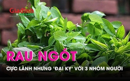 Rau ngót cực lành nhưng 3 nhóm người  này muốn sống khỏe mạnh tuyệt đối không nên sử dụng 