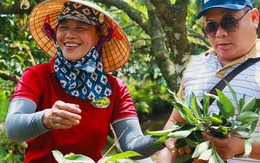 Bán tấm chân tình trong từng quả vải, cả đời trồng cây chưa ai ngờ tới