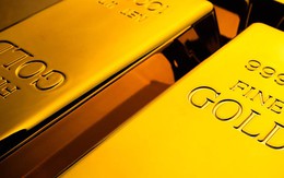 Giá vàng hôm nay 21/6: Vàng nhẫn tăng giá khi SJC quay đầu giảm mạnh