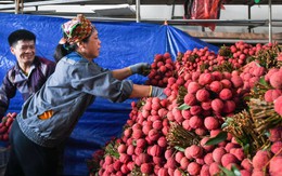 Chưa từng có trong lịch sử, chỉ một tháng bán rau quả thu về gần 1 tỷ USD