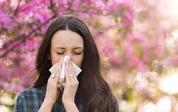 5 biện pháp kiểm soát cơn hen suyễn trong mùa hè