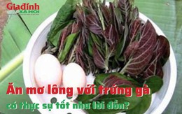 Ăn mơ lông với trứng gà có thực sự tốt như lời đồn?