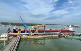 Tàu container va chạm tàu hàng làm gãy một đoạn cầu cảng tại Cái Mép