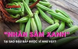 Đậu bắp vì sao được ví như 'nhân sâm xanh'?