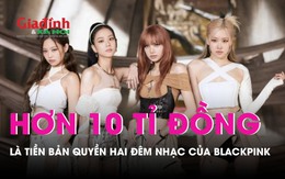 Đã thống nhất tiền bản quyền hai đêm nhạc tại Hà Nội của BlackPink trên 10 tỉ đồng