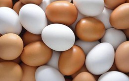Món ăn, bài thuốc từ trứng gà tốt cho người bệnh tăng huyết áp