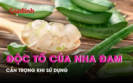 Cẩn trọng với độc tố của nha đam khi sử dụng