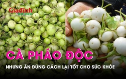 Lạ mà có thật: Cà pháo độc nhưng ăn đúng cách lại tốt cho sức khỏe