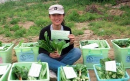 Nữ tiến sĩ bỏ việc văn phòng về quê làm nông dân, kiếm 26 tỷ đồng/năm