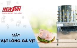 Mua máy vặt lông gà vịt ở đâu giá rẻ, uy tín, chất lượng?