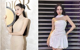 'Mỹ nhân ăn chay' đại diện Việt Nam thi Miss Intercontinental là ai?