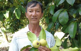 Người đàn ông ‘đút túi’ 1 tỷ đồng/năm nhờ trồng toàn cây ăn trái ai cũng mê