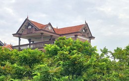 Ngôi làng ngày càng nhiều biệt thự nhờ trồng loại cây này