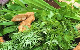 Cách xông hơi trị cảm lạnh mùa mưa bão