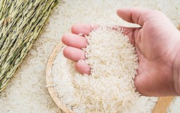 Giá một loại gạo Việt lập kỷ lục lịch sử, bỏ xa Thái Lan