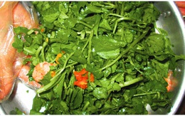 5 điều cần biết về cải xoong - loại rau Việt được nước Mỹ chấm 10 điểm, là rau 'tốt nhất thế giới'