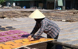 Độc đáo đặc sản bánh đa Nghệ An, xuất khẩu đi nhiều nước trên thế giới