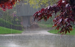 Dự báo thời tiết ngày mai 25/8: Điểm danh những nơi còn mưa to khu vực Bắc Bộ?
