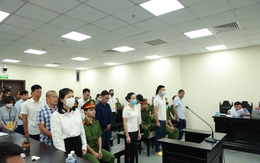 VKS nói gì về hành vi của cựu Chủ tịch UBND TP Hà Nội trong vụ án nâng giá cây xanh?