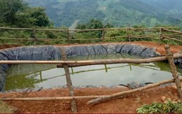 Lào Cai: Phát hiện thi thể 3 cháu bé tại hồ trữ nước