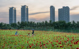 Ông bố kể chuyện tìm thấy nơi ở "định mệnh" cho cả gia đình sau một lần đi lạc