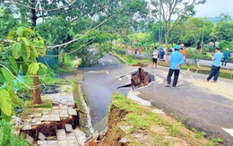 Tiếp tục nứt gãy, sạt trượt ở Đắk Nông