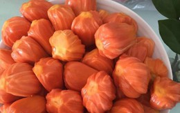 Mít thơm lừng mùi sầu riêng, mít 'khủng' 40 kg/quả ở Việt Nam