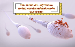 Tinh trùng yếu - Một trong những nguyên nhân gây vô sinh