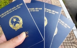 4 mẫu hộ chiếu sẽ được áp dụng từ ngày 15/8/2023