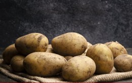 Vì sao khoai tây cần phải để trong bóng tối?