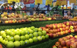 Trái cây nhập ngoại tràn ngập thị trường, giá rẻ chưa từng có