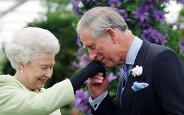 Một năm ngày mất của Nữ vương Elizabeth II, Vương thất Anh công bố bức chân dung đặc biệt