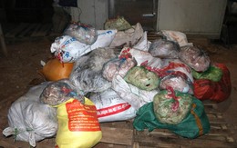 Kinh hoàng tiểu thương ở Thái Nguyên bày bán công khai hơn 1 tấn bì lợn thối