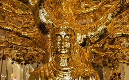 Cây bồ đề chưng Tết được mạ vàng, giá 1 triệu USD ở TPHCM