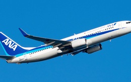 Nứt kính buồng lái, máy bay Boeing 737-800 phải quay đầu ở Nhật