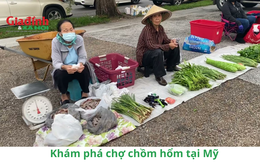 Khám phá chợ chồm hổm tại Mỹ