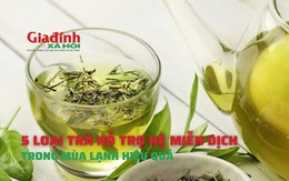 5 loại trà hỗ trợ hệ miễn dịch trong mùa lạnh hiệu quả