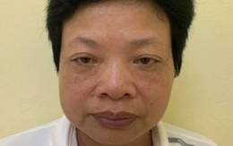 Một nữ hiệu trưởng trường mầm non ở Hà Nội bị bắt