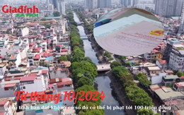 Từ tháng 10/2024, cố tình bán đất không có sổ đỏ có thể bị phạt tới 100 triệu đồng