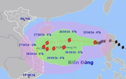 Khẩn trương đảm bảo an toàn đê điều ứng phó bão số 6 (TRAMI)