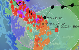 Tin tối 27/10: Bão Trà mi suy yếu thành áp thấp nhiệt đới, gây mưa lớn ở Trung Trung Bộ; Tài xế có thể bị trừ hết điểm bằng lái nếu vi phạm nồng độ cồn