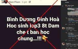 Bình Dương tìm người tung tin đồn ‘học sinh lớp 3 đâm chết bạn’