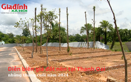 Diễn biến giá đất nền tại Thanh Oai, Hà Nội những tháng cuối năm 2024