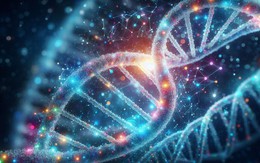 'Gien tối' ẩn trong DNA con người lần đầu được tiết lộ