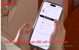 Không thông quan đối với các website, sàn thương mại điện tử xuyên biên giới chưa đăng ký hoạt động tại Việt Nam 