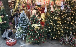 Hàng trăm triệu người chi tiền cho Noel, điều bất ngờ ở cây thông thật và giả