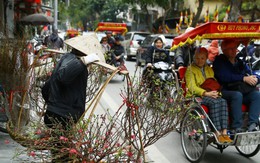 'Sức mạnh ma thuật' ở khu phố lặng lẽ của Hà Nội khiến ai cũng thấy trái tim trẻ lại