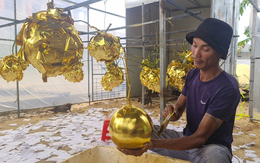 Độc đáo dừa dát vàng hút khách ở Quảng Bình dịp Tết